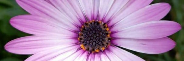 CassanoManu's profile banner image