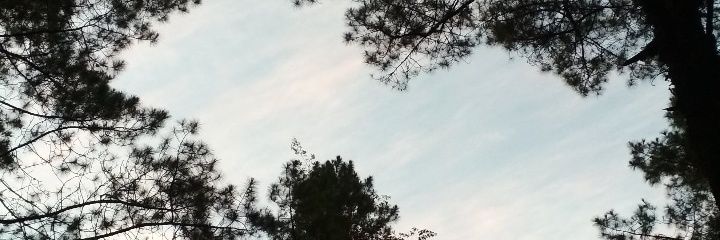 weedneedday's profile banner image