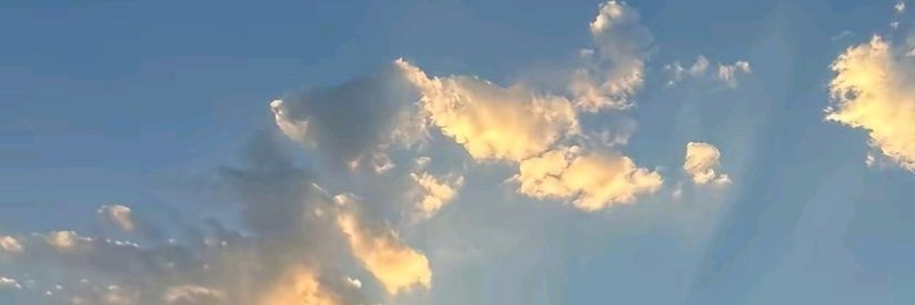 jessienadamas's profile banner image