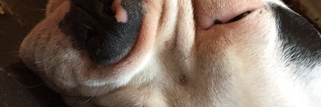 Thotibaleiao's profile banner image