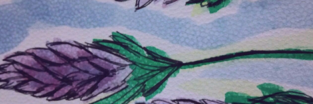 GzaAngeles's profile banner image