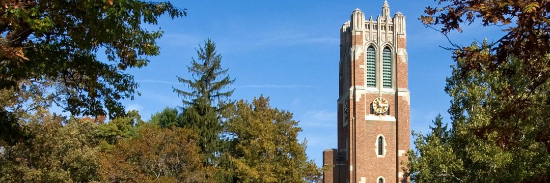 MSUOakland's profile banner image