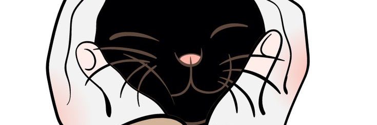 hello banner