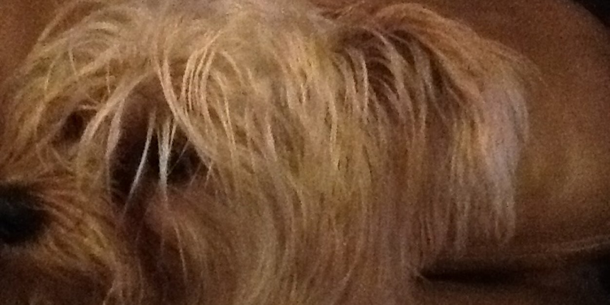 mrlhere's profile banner image
