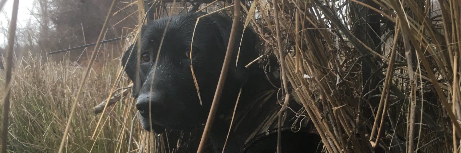 Brian Edmondson banner