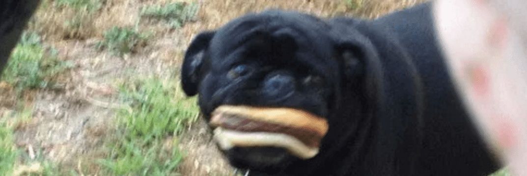 valleyofdoom's profile banner image