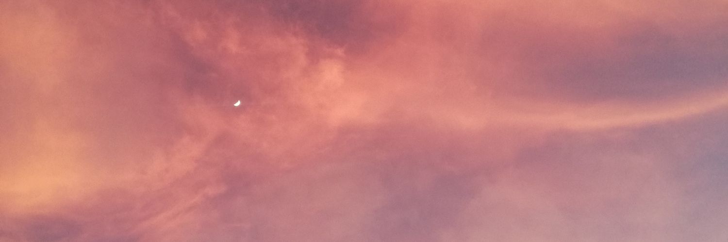 Catarina_Madeir's profile banner image