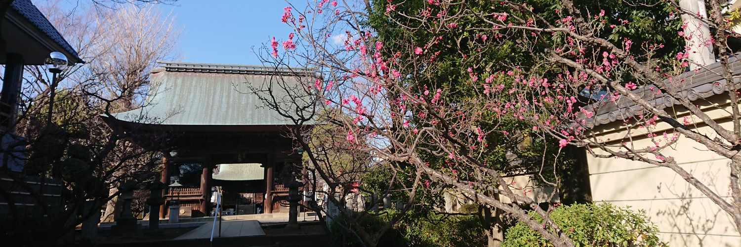 ykhidaka's profile banner image