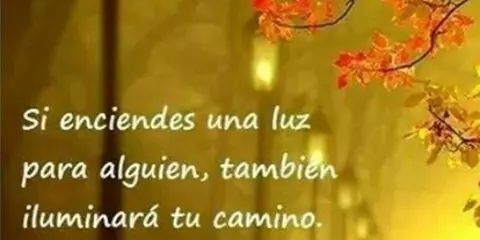 yolindacastillo's profile banner image