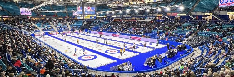 Jessie Scheidegger banner