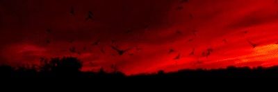 Mac_Serg's profile banner image