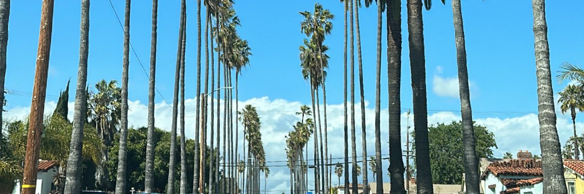 brennddaa__'s profile banner image