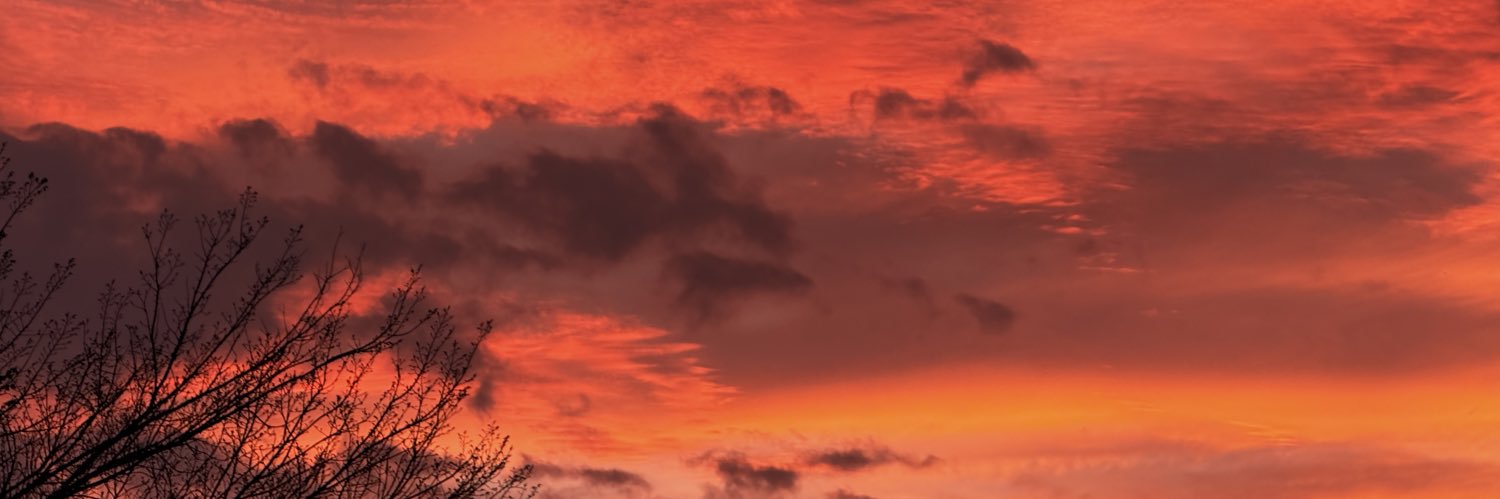 arden_drennen's profile banner image
