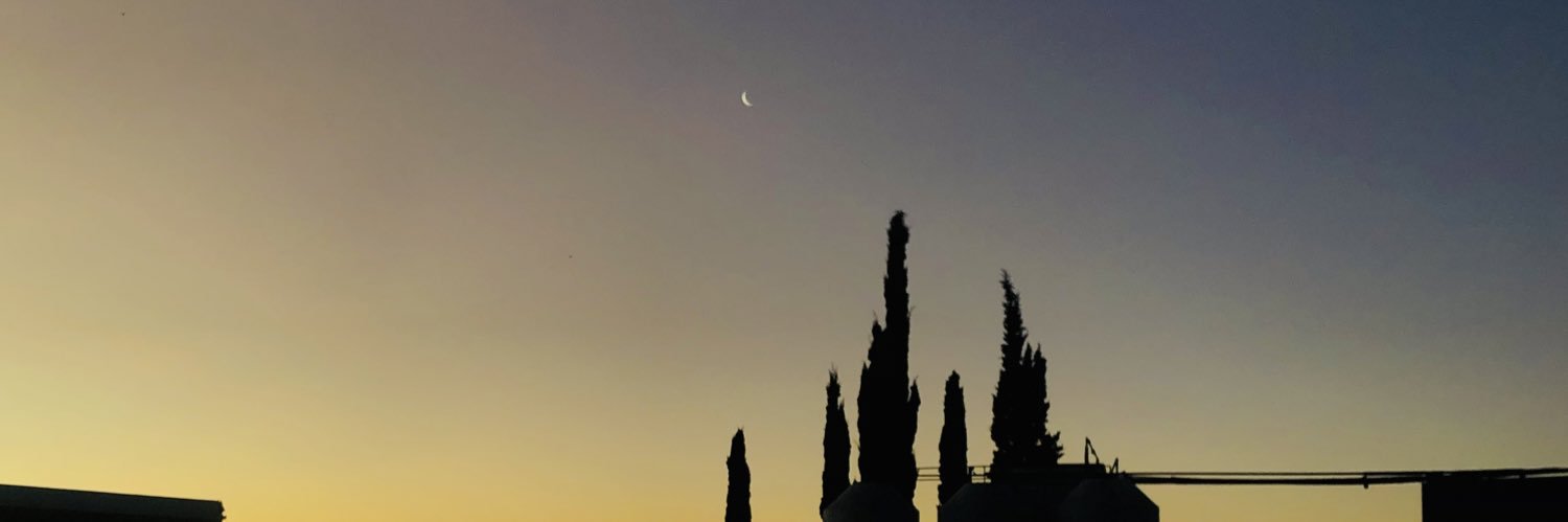 Pulibenedetti's profile banner image