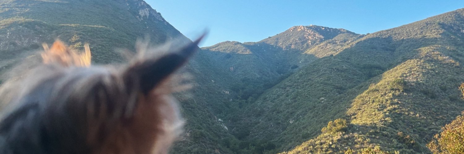 ramirezdenahi's profile banner image