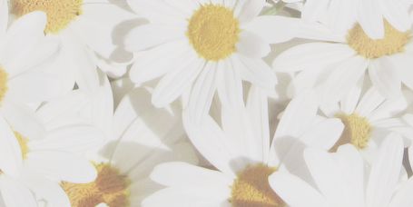 bebibu1's profile banner image