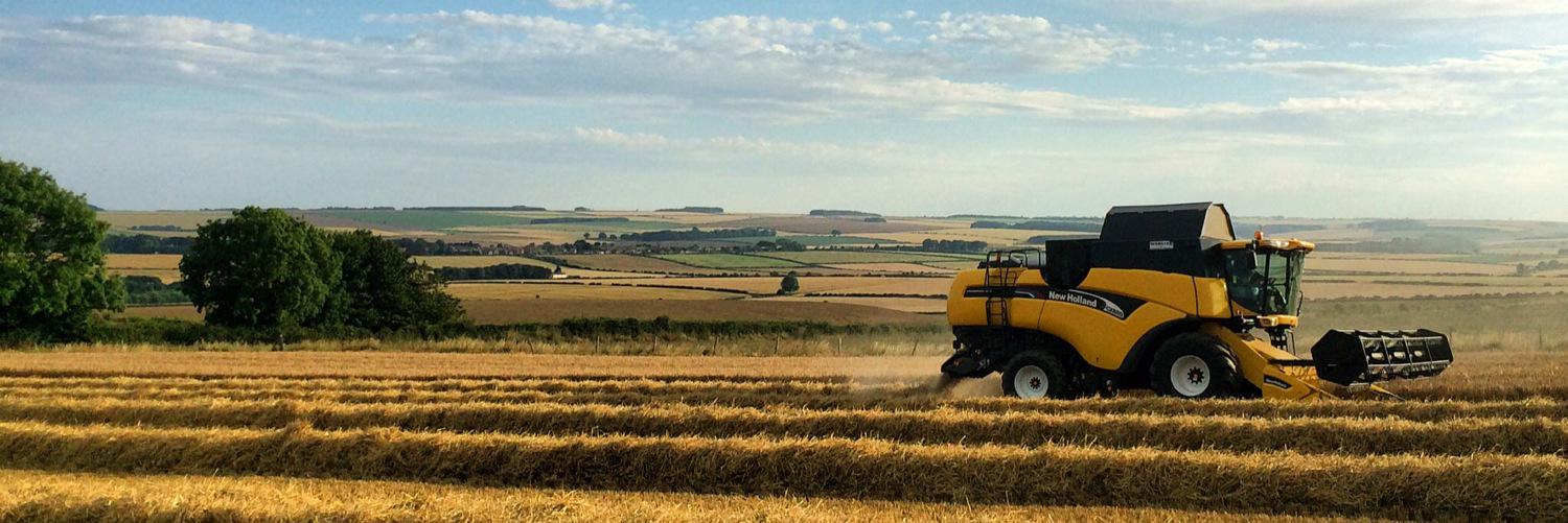 CropChris's profile banner image
