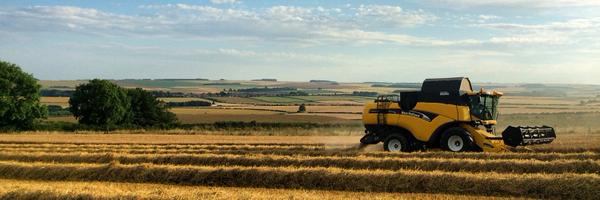 CropChris Profile Banner