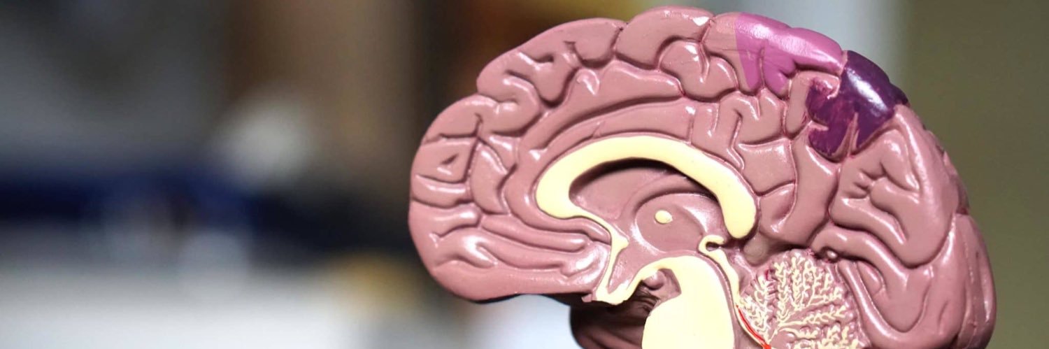 neuro_nerd_9's profile banner image