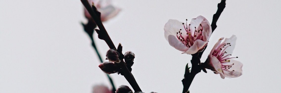 _jonathanlam's profile banner image