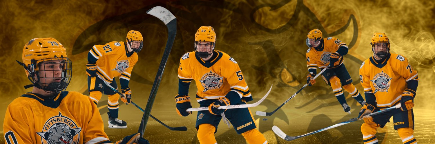 Pittsburgh Predators banner