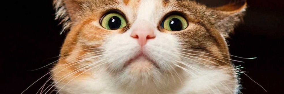 tw_tayyab's profile banner image