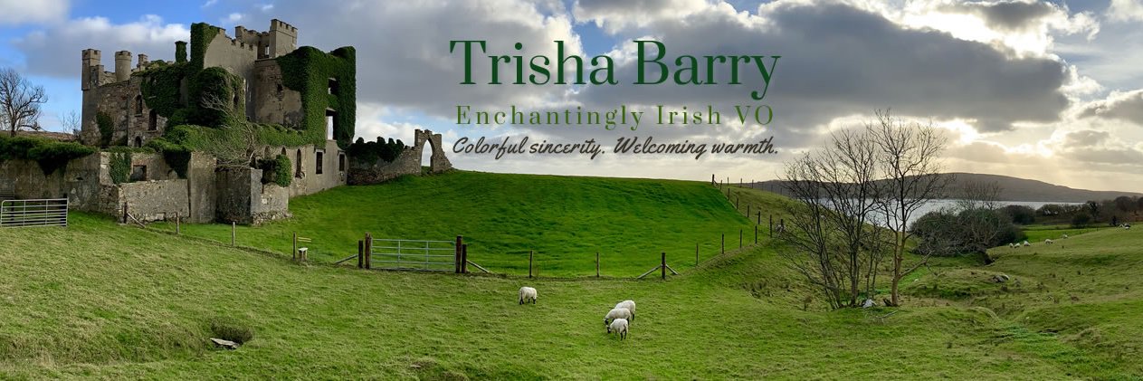 TrishaBarryVO's profile banner image