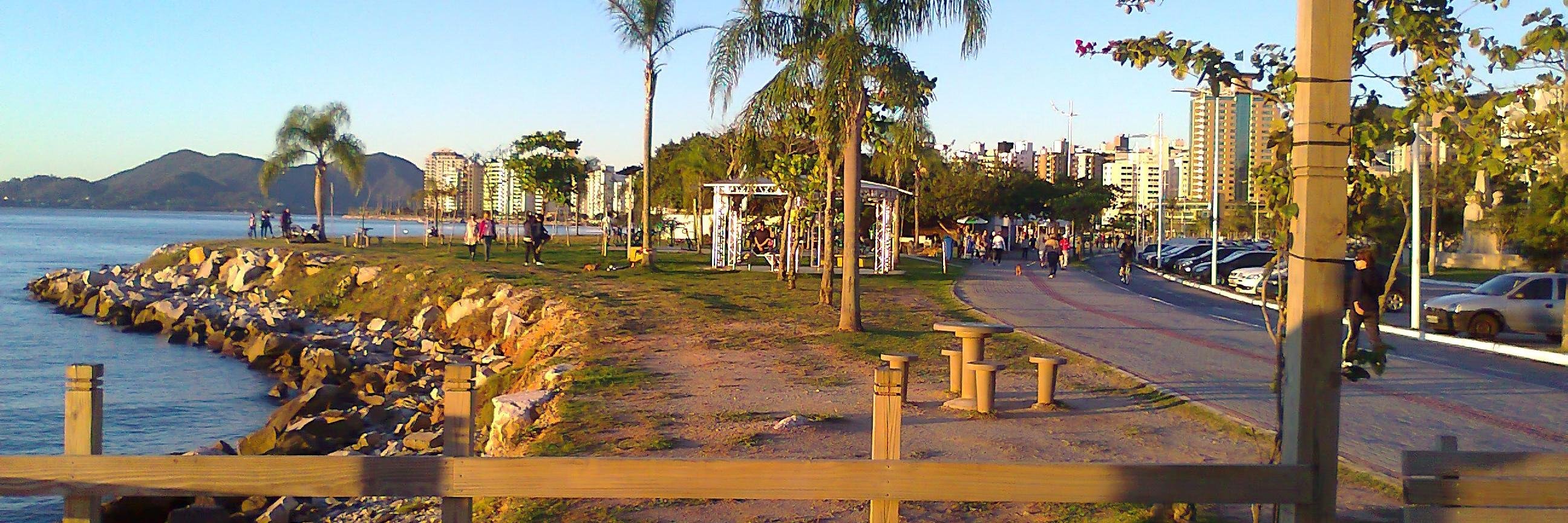 DinaCFreitas's profile banner image