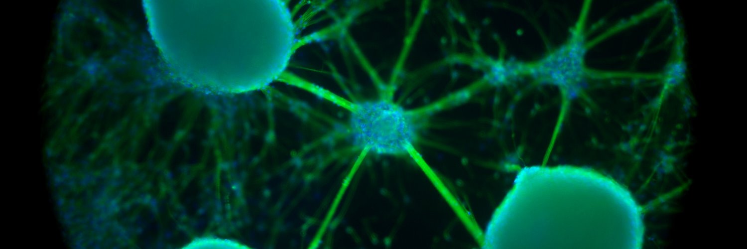 Factor Bioscience banner