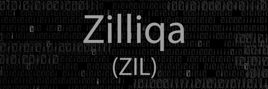 Z for Zil banner
