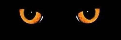 olisabugzy's profile banner image