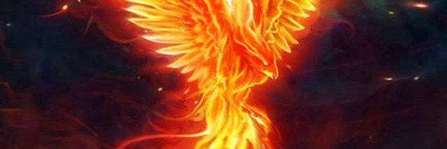 DWH213's profile banner image