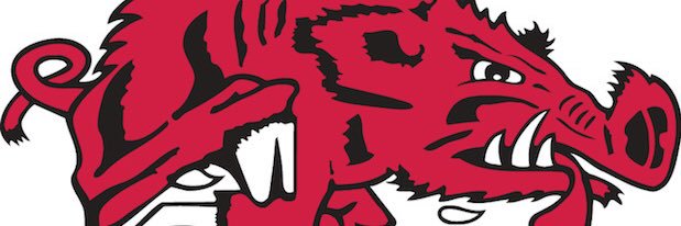 MinnesotaHog's profile banner image