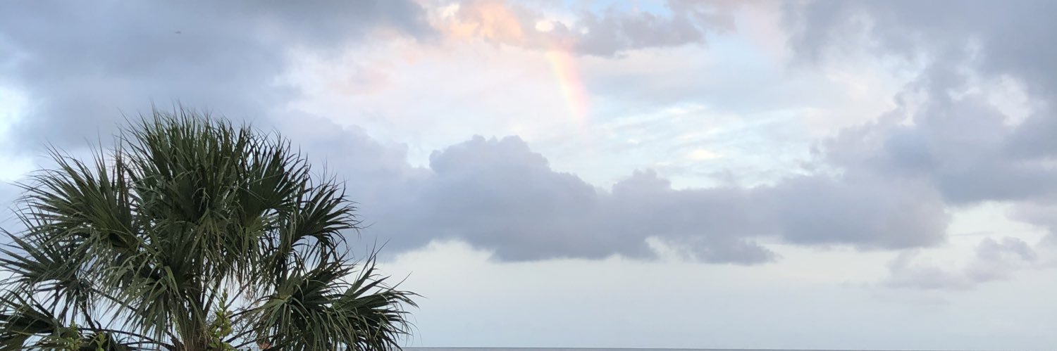 Lisa Glance Mostafavifar banner