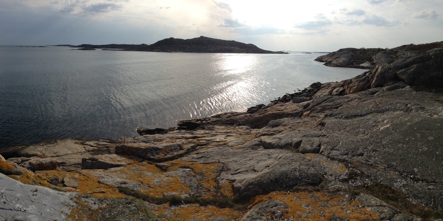 Ringing Ears 🇺🇦✌️ banner