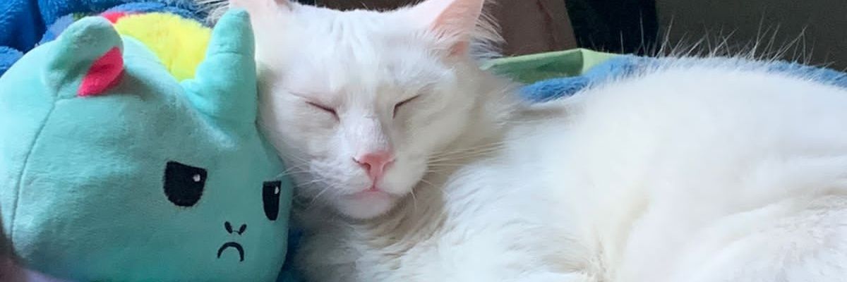MIAU banner