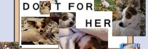 beckhobbs's profile banner image