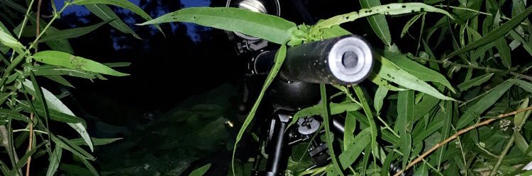 EllsworthTrent's profile banner image