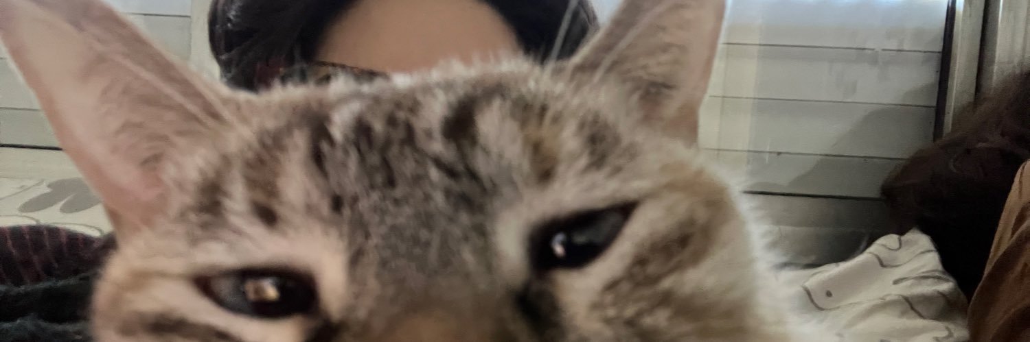 zipIRL's profile banner image