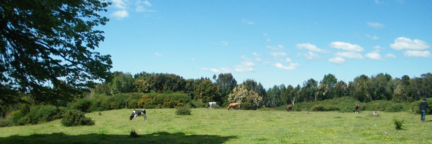 CamposyParcelas's profile banner image
