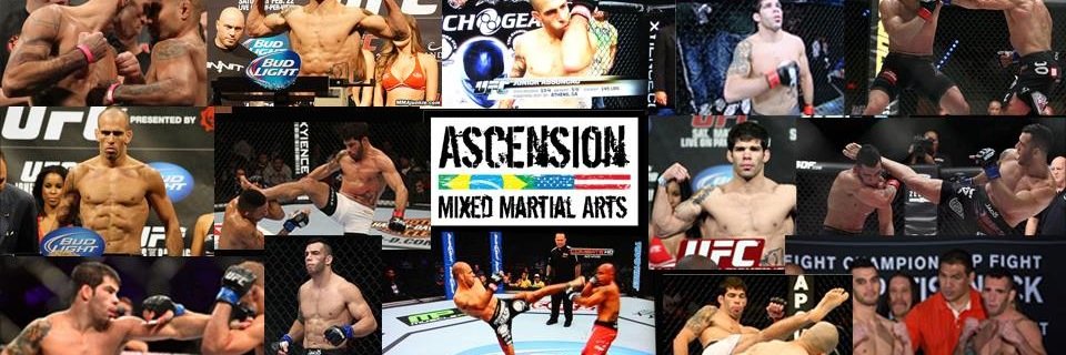 assuncaomma's profile banner image