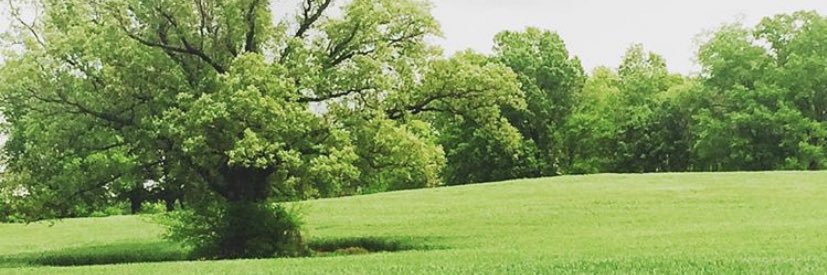 LilGoodrich's profile banner image