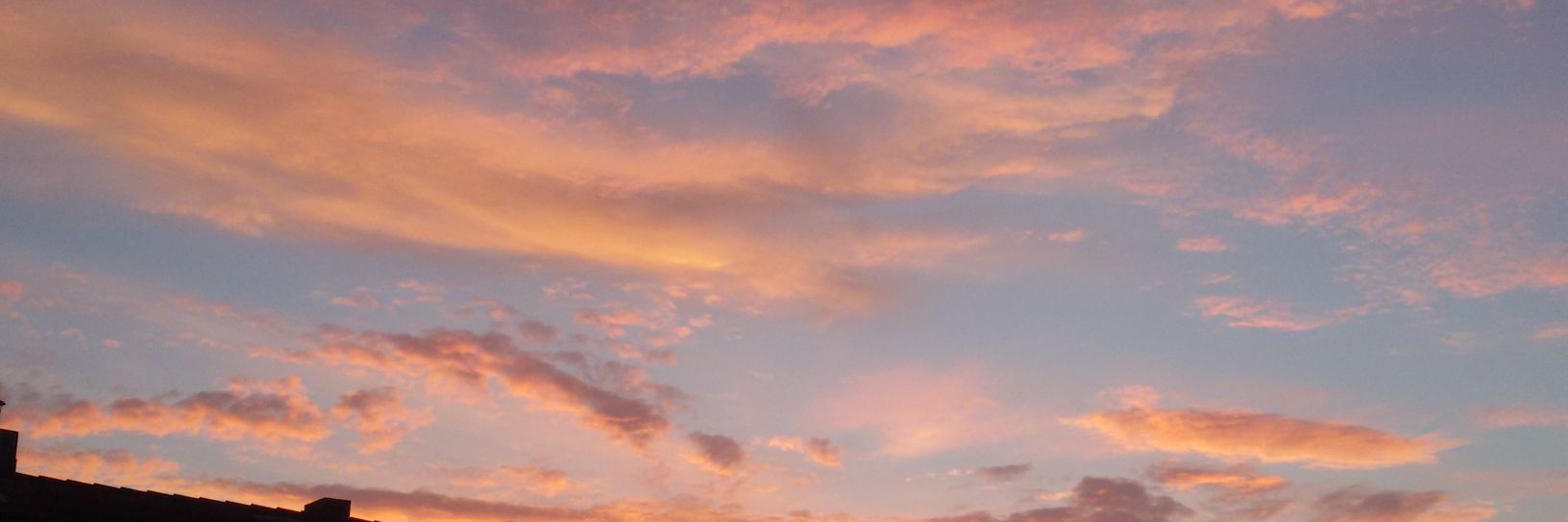 mf3381's profile banner image