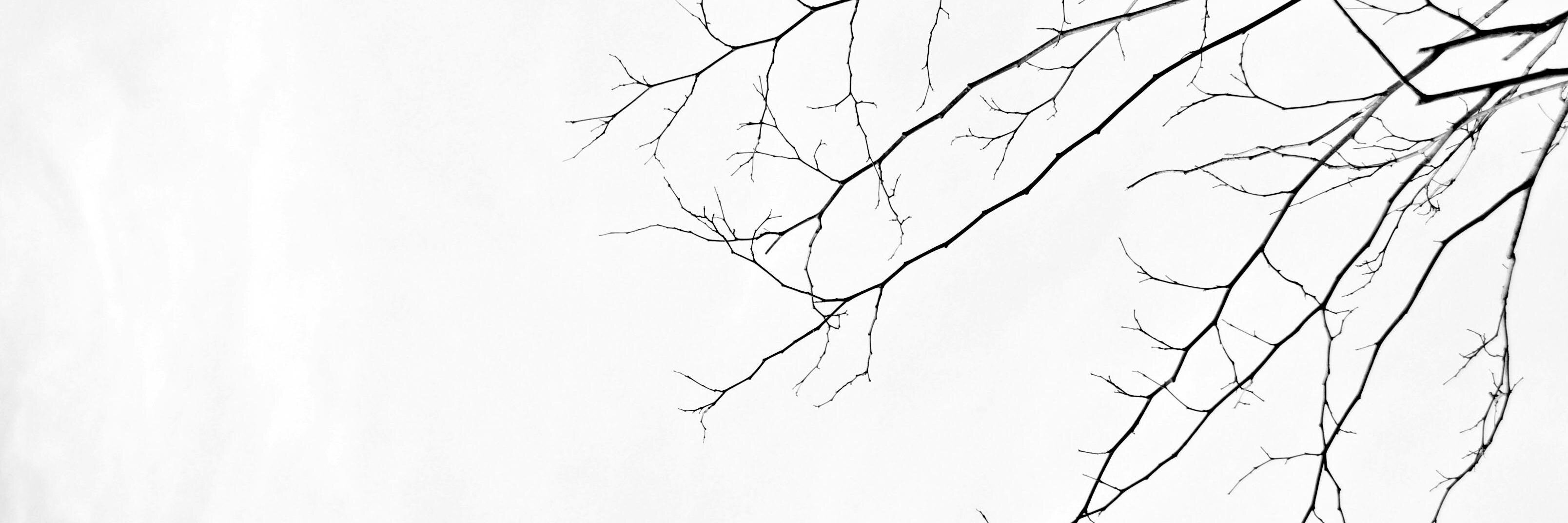 melodyloo's profile banner image