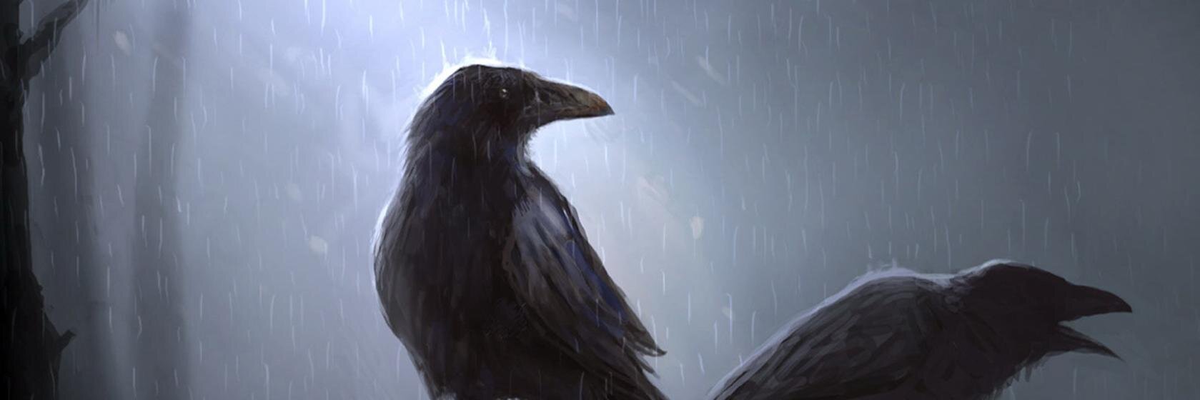 urkohake's profile banner image