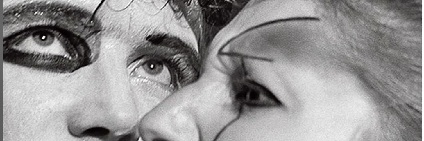 Doogs 🏴󠁧󠁢󠁳󠁣󠁴󠁿 banner