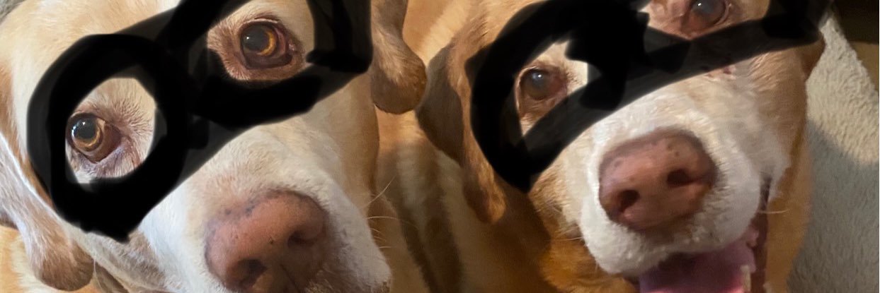 lwrobison1's profile banner image