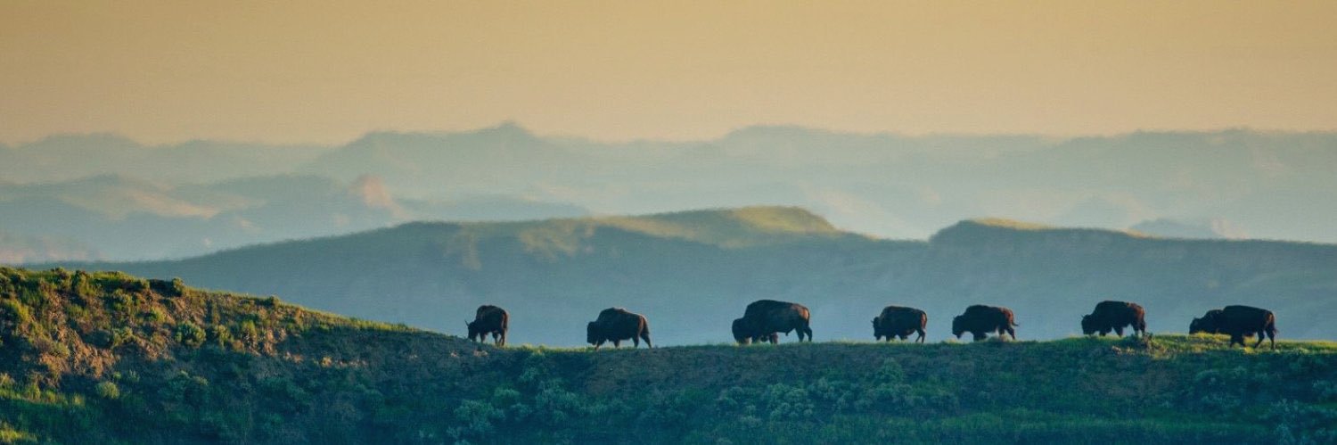 SecetaryBurgum's profile banner image