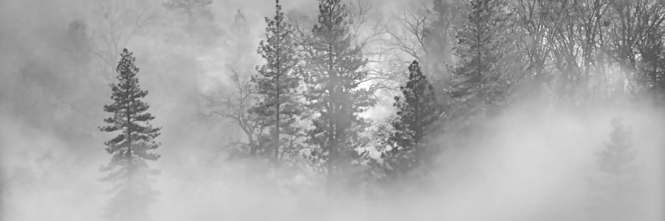 DreamingToWrite's profile banner image