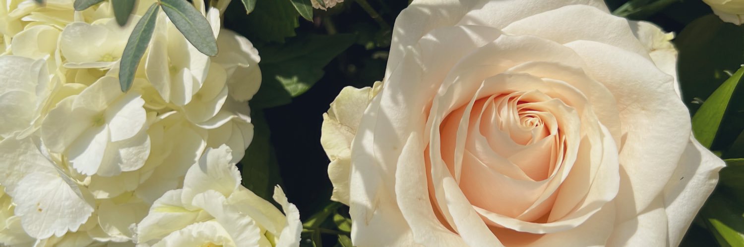xbecsheard's profile banner image